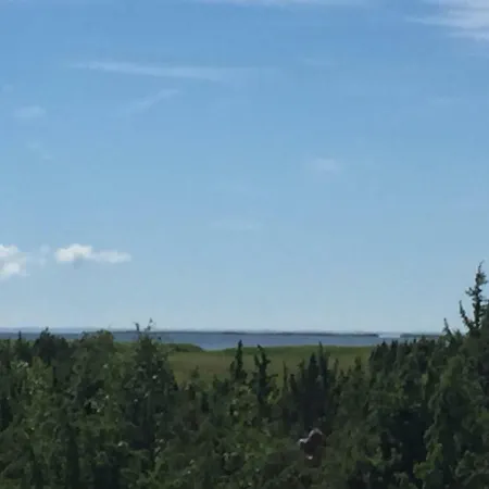 Lux Seaside * Κουρεσάαρε